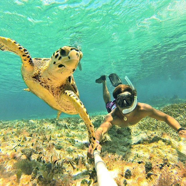 GoPole Zusatzequipment für GoPro-Actionkameras - TAUCHEN.de