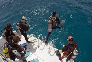 1safetystop070308