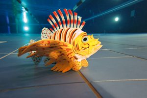 Riff-Rambos unerwünscht! Bitte niemals auf Korallen abstützen oder blind festhalten. Richtige Tarierung im Pool üben! (W. Pölzer)