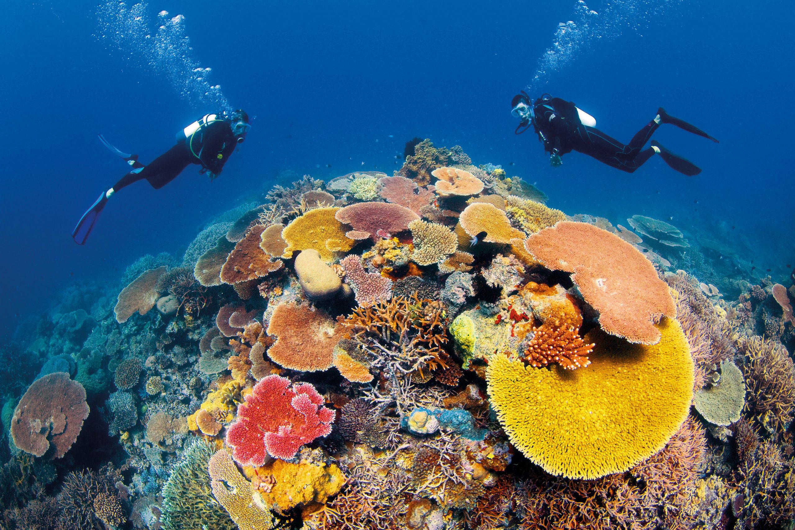 Great coral reef. Большой Барьерный риф. Барьерный риф в Австралии. Коралловые рифы большой Барьерный риф. Большой коралловый риф в Австралии.