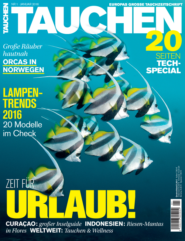 TAUCHEN Januar 2016