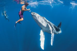 TT_Dive_Travel_GmbH_182536_Bild