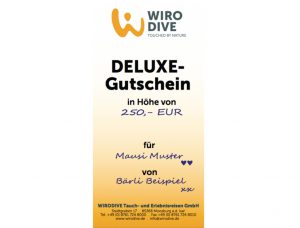 Unbenannt-1