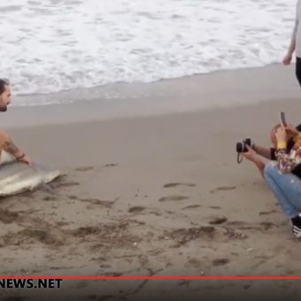 Selfie-Wahn: Der Beach Boy am Strand von Florida lässt sich von Passanten mit Smartphones fotografieren. Foto: youtube.com