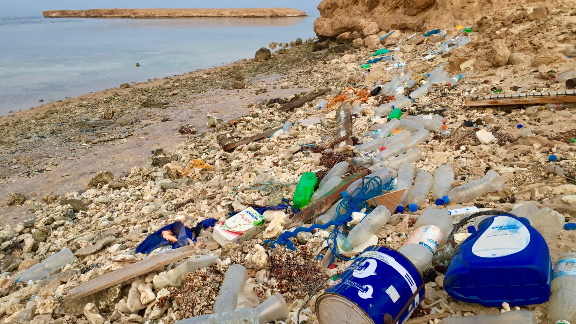 Plastikmüll ist eine Katastrophe für die Meere.