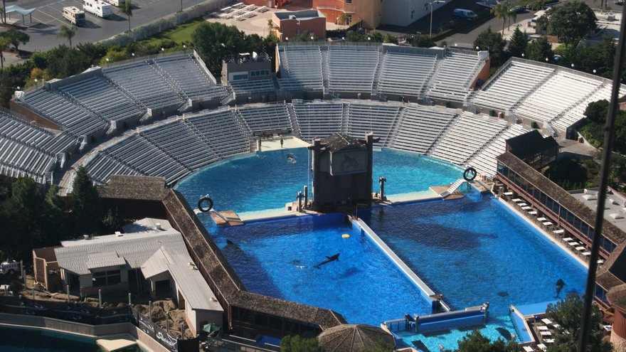 Die Aqua-Arena in Orlando, Florida: Hier fanden bisher Shows mit den intelligenten Orcas statt. Foto: WDC 