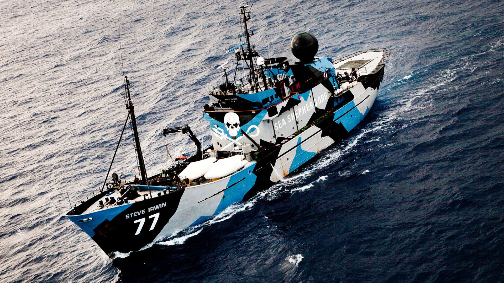 Die MV Steve Irwin ist momentan im Indischen Ozean gegen illegale Treibnetze im Einsatz.