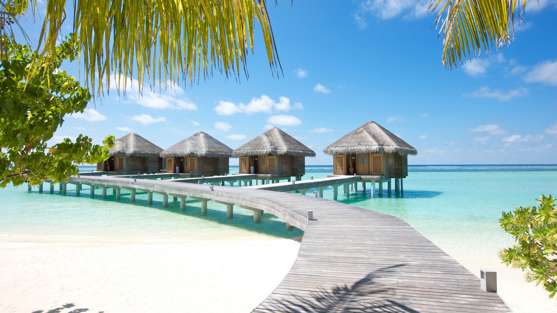 Die Malediven gehören zu den beliebtesten Reisezielen von Tauchern: Auch sie sind im neuen Katalog von Reisecenter Federsee zu finden.