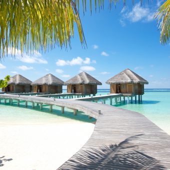 Die Malediven gehören zu den beliebtesten Reisezielen von Tauchern: Auch sie sind im neuen Katalog von Reisecenter Federsee zu finden.
