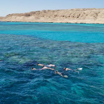 Nur ganz, ganz selten kommt es im Roten Meer zu Haiangriffen. Der Angriff von Ain El Sokhna ist laut ägyptischer Behörden ganz klar auf menschlichen Einfluss zurückzuführen.