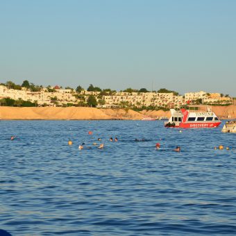 Sharm El Sheik: Ein Paradies für Taucher und auch für alle anderen Urlaub. Ab 02. Juli 2016 ist die Destination wieder Non-Stop ab Europa erreichbar.