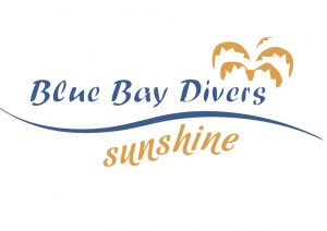 Die KLM Sunshine gehört zu den Blue Bay Divers