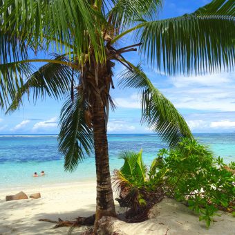 Traumstrand auf den Seychellen: Unter Wasser eines der schönsten Tauchgebiete der Welt.