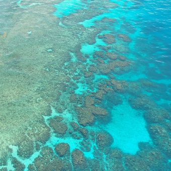 Great Barrier Reef: Versteckt sich hinter dem größten Riff der Erde noch ein zweites Riff?