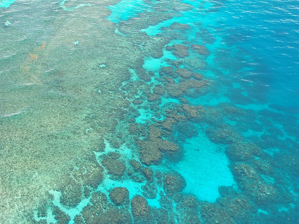 Great Barrier Reef: Versteckt sich hinter dem größten Riff der Erde noch ein zweites Riff?