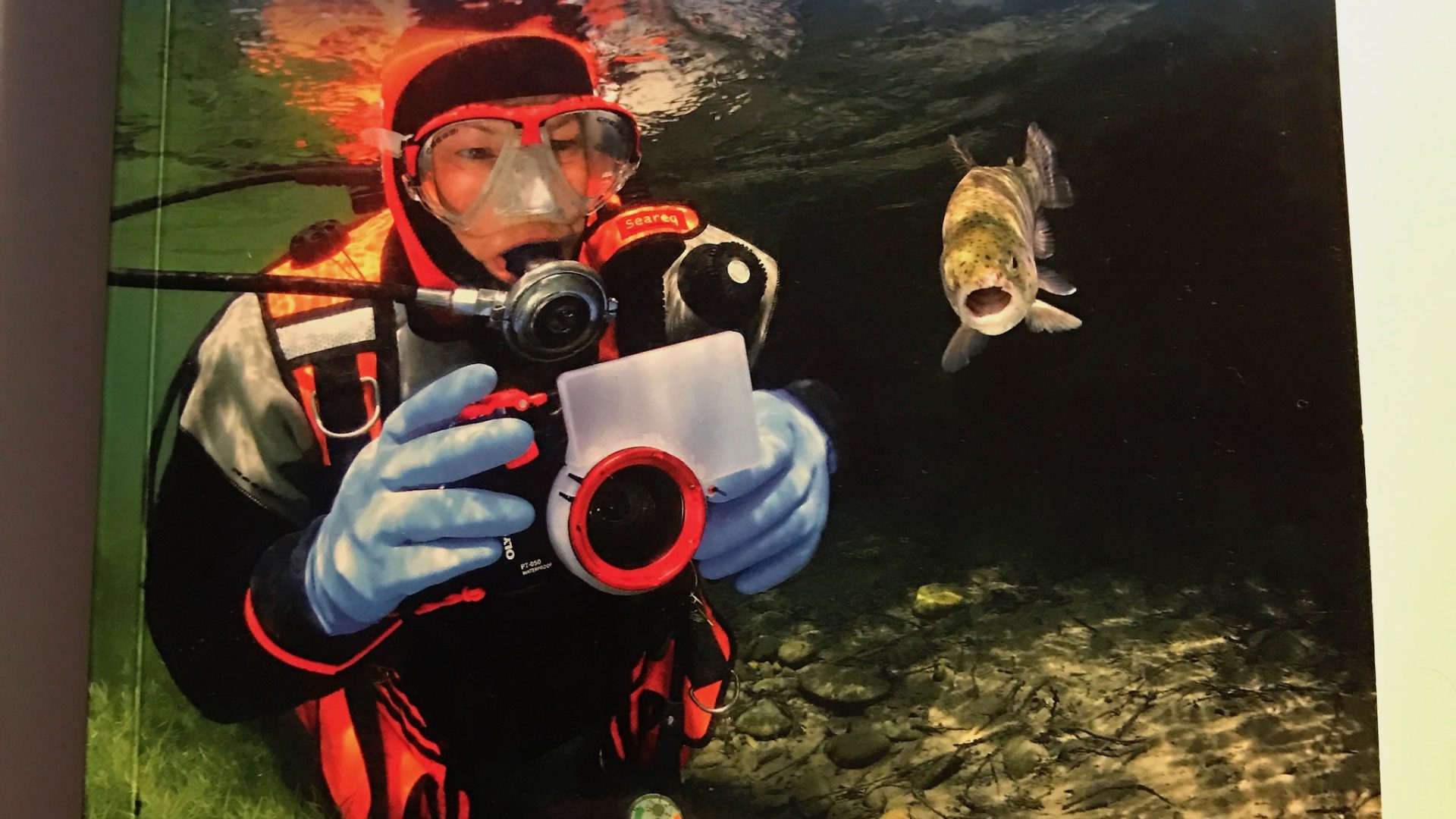 TAUCHEN-Autor Herbert Frei hat ein neues Standardwerk der Unterwasserfotografie veröffentlicht.