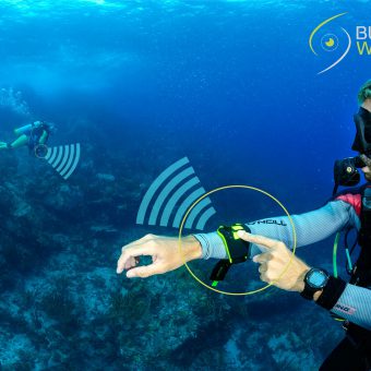 Buddy Watcher ist der innovative Kommunikator, mit dem sich Taucher unter Wasser verständigen können.