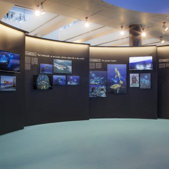 Im Flughafen Zürich gibt es eine spannende Ausstellung des Uhrenherstellers Blancpain zum Thema Unterwasserfotografie.