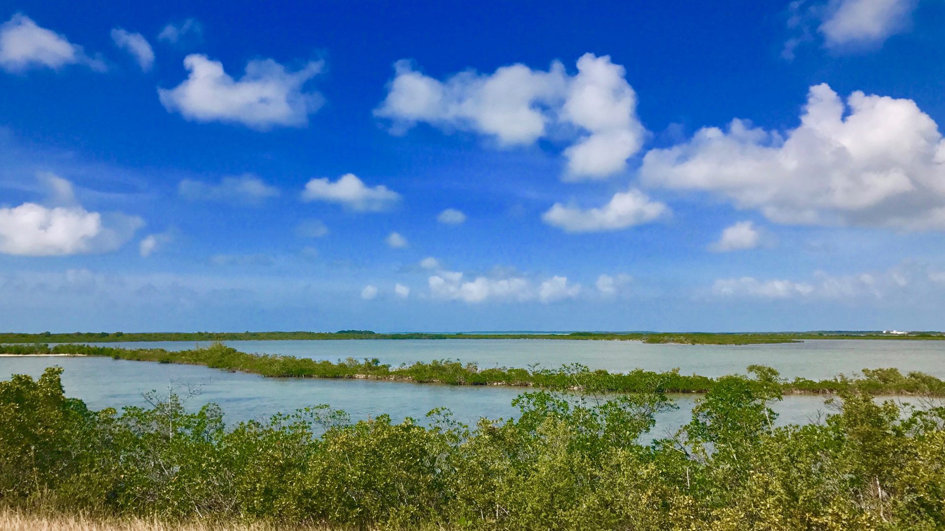 Florida Keys: Die Gewässer rund um Islamorada sind bei Tauchern sehr beliebt. Foto: Sascha Tegtmeyer