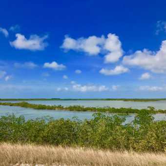 Florida Keys: Die Gewässer rund um Islamorada sind bei Tauchern sehr beliebt. Foto: Sascha Tegtmeyer