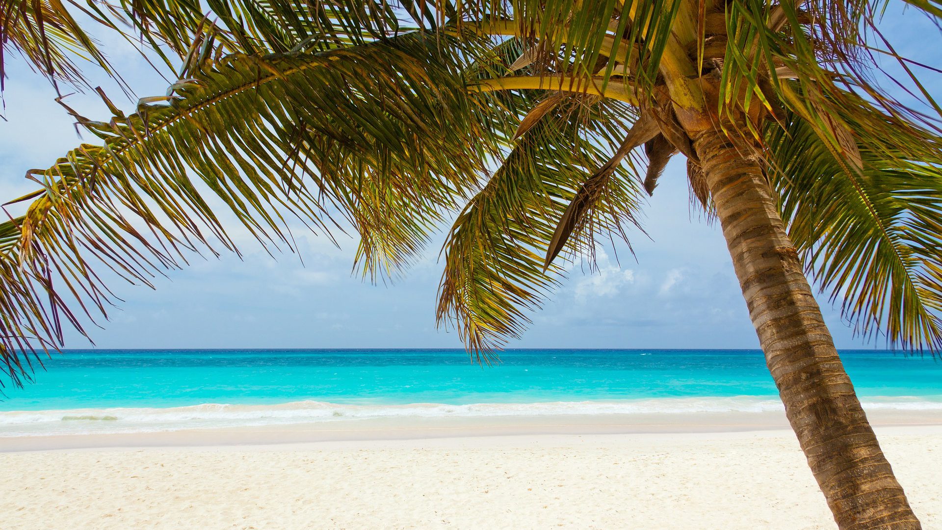 Ein Traum für Taucher und Strandurlauber: Die Dominikanische Republik.