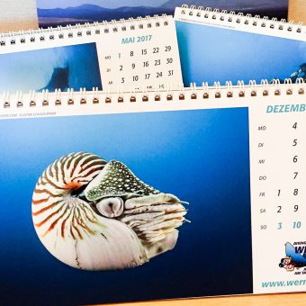 Beliebt bei Tauchern: So schaut der Werner Lau Tischkalender 2017 aus.