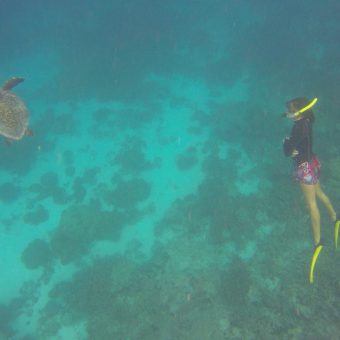 Meeresbiologin Sonia Valladares in Aktion: Die Dokumentation der Schildkröten-Population rund um Coco Bodu Hithi gehört zu ihrem Job.