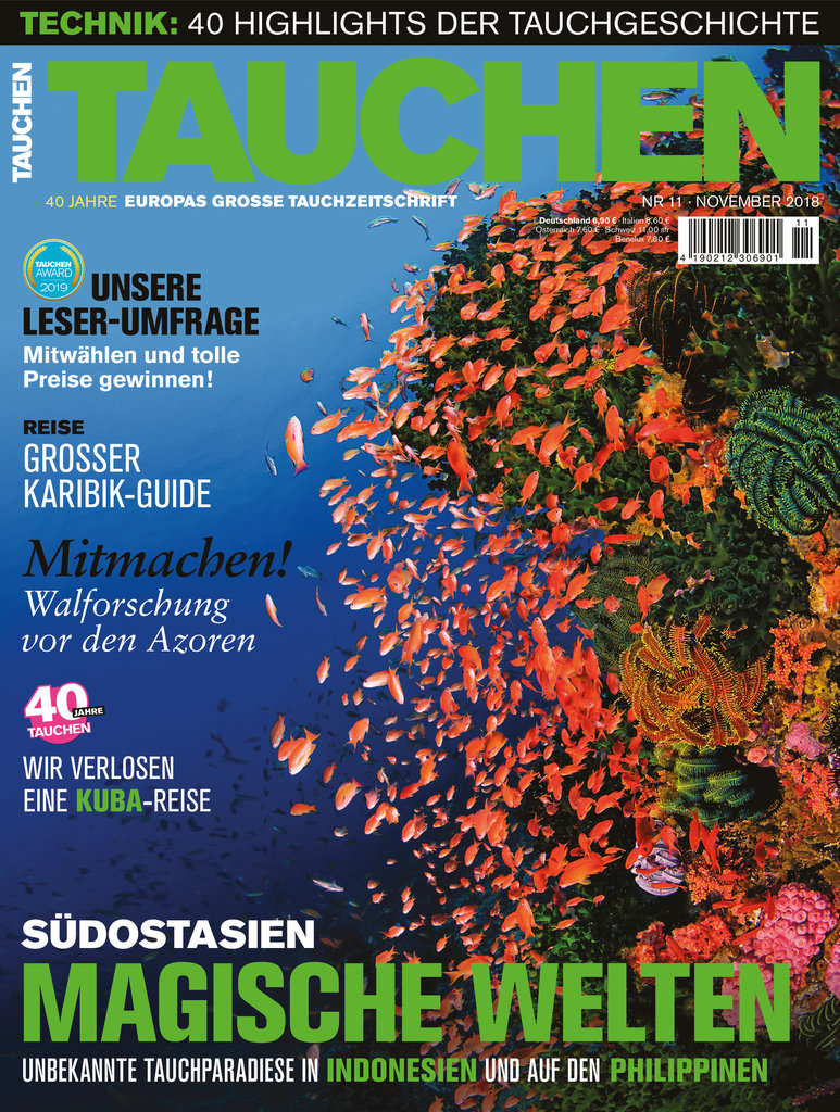 11_2018_tauchen-s