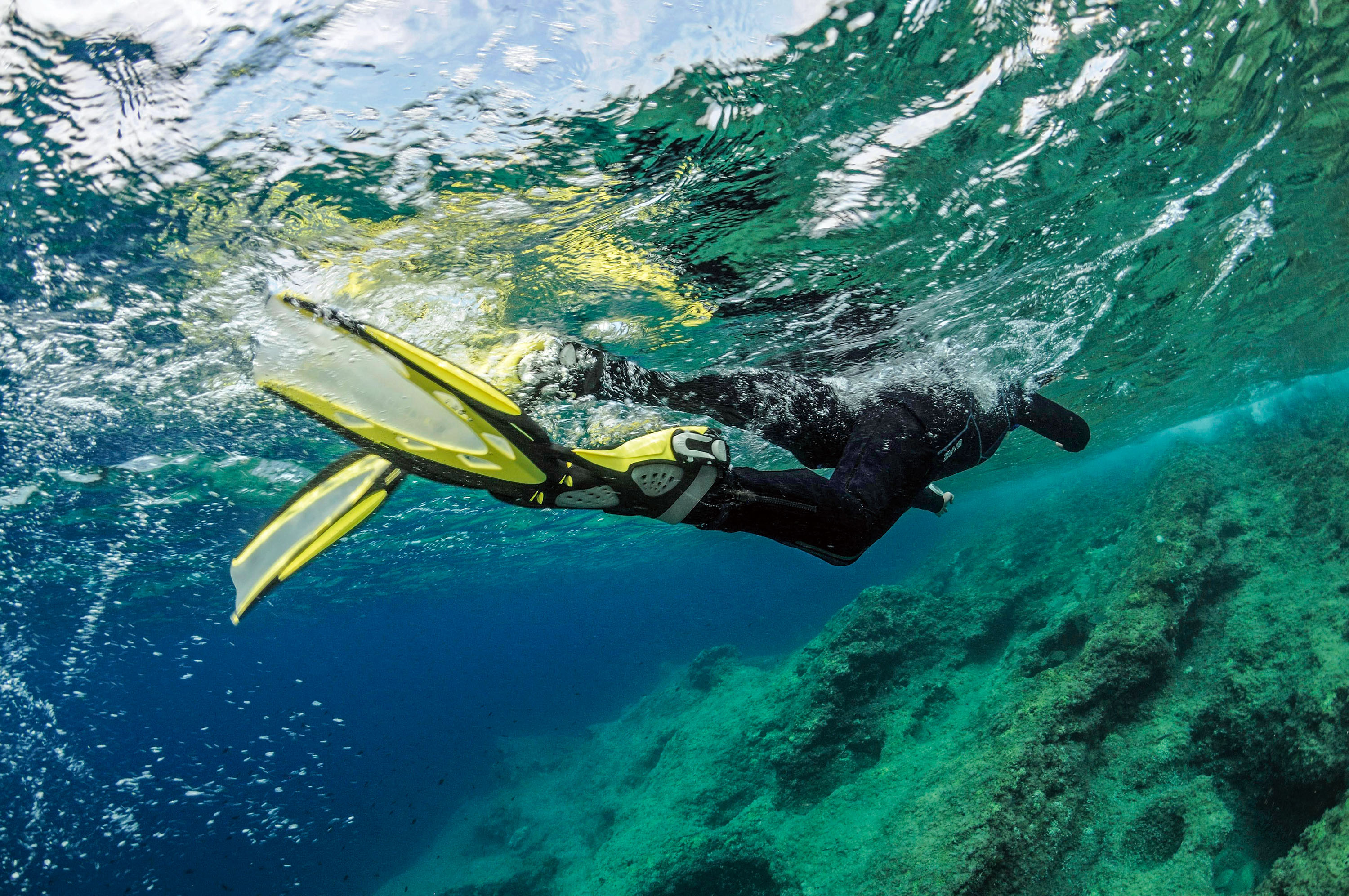 Tauchmedizin Wie Fit Mussen Taucher Sein Tauchen De