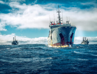 Peter Hammarstedt: Im Einsatz für Sea Shepherd