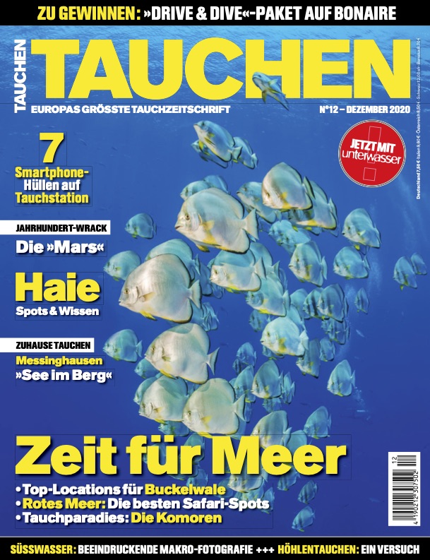 Tauchen_12-2020_2020-11-12