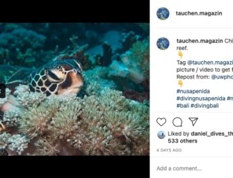 Das Instagram Foto der Woche