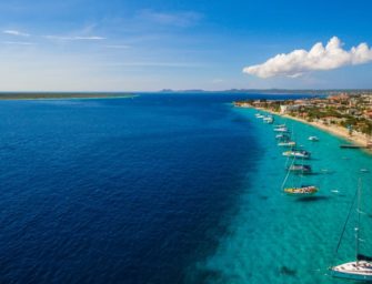 Bonaire – Ein Paradies für Taucher
