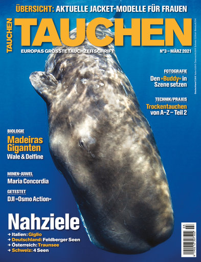 03_2021_tauchen-xs
