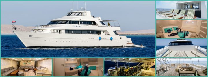 Die M/Y SeaFriend von Hamata Mangroves: 2018 wurde sie innen und außen modernisiert. Mit ihrem eleganten Rumpf und modernen, in hell gehaltenem Aussehen und großzügigem Komfort bietet sie Platz für bis zu 24 Gäste.