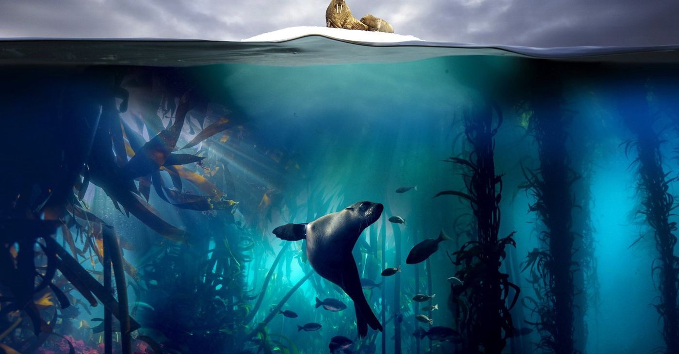Was Passiert Wenn Klimawandel Nicht Gestoppt Wird