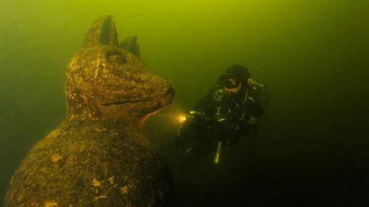 Wahrscheinlich einzigartig auf der Welt! Eine Katze unter Wasser. Foto: Udo Kefrig