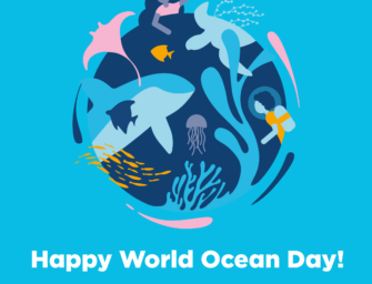World Ocean Day 2021
