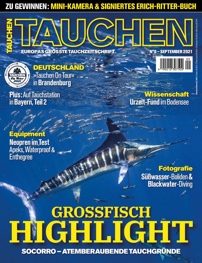 Gefährlichste Droge Der Welt Liste