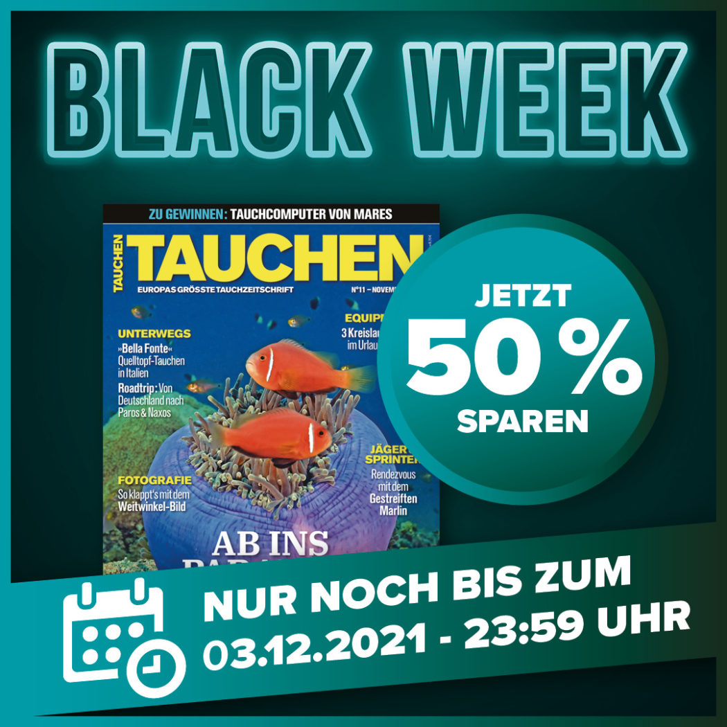 50% Rabatt auf dein TAUCHEN Jahresabo!