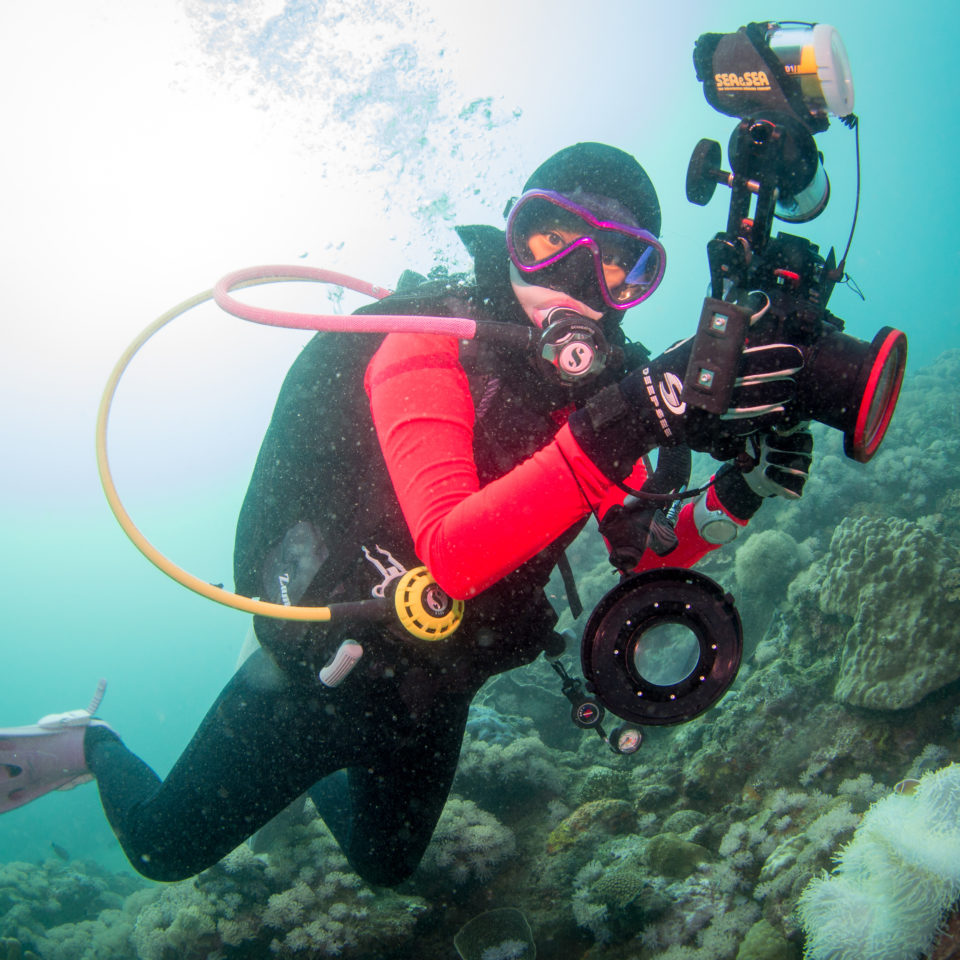Tauchsport, Tauchausrüstung, Tauchreisen TAUCHEN.de