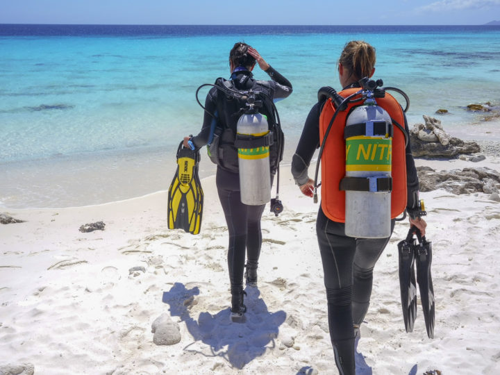 Buddy Dive Resort Bonaire Landtauchen