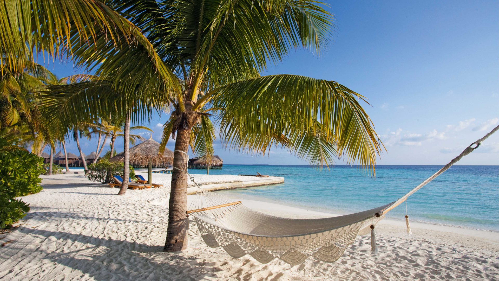 Kann es etwas Schöneres geben als zwischen Palmen zu relaxen? Foto: Manuela Kirschner/seatops.com