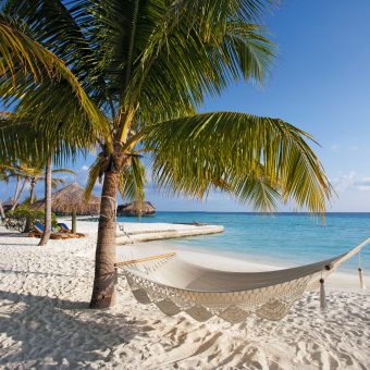 Kann es etwas Schöneres geben als zwischen Palmen zu relaxen? Foto: Manuela Kirschner/seatops.com