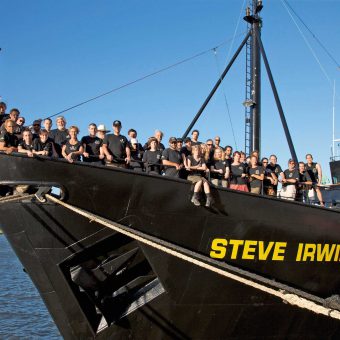Crew der Steve Irwin: Harte Arbeitsbedingungen an Board. Foto: Sea Shepherd