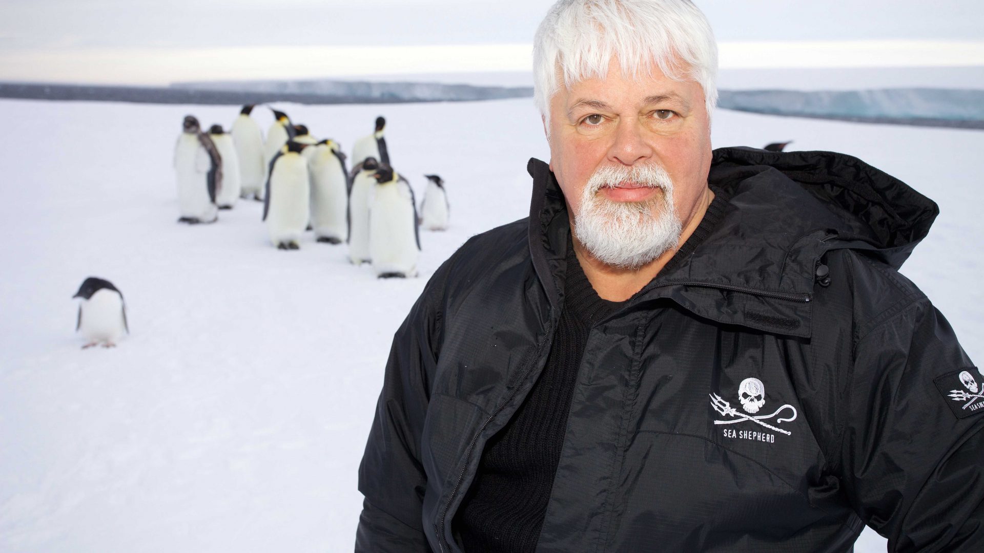 „Mit der Wasserkanone haben wir illegale Haiflossenjäger gestellt. Dafür soll ich in Haft?“ Paul Watson via Skype-Interview - kurz vor der Flucht