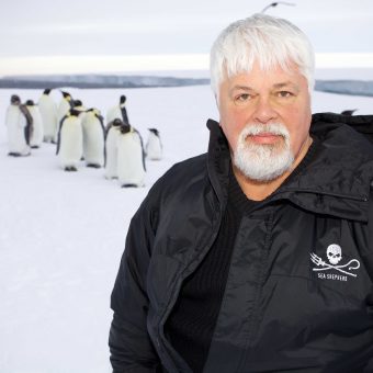 „Mit der Wasserkanone haben wir illegale Haiflossenjäger gestellt. Dafür soll ich in Haft?“ Paul Watson via Skype-Interview - kurz vor der Flucht