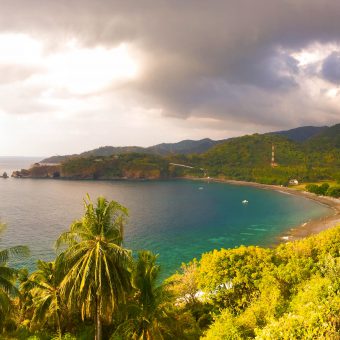 Urwald bis an den Strand und viel nahezu unberührte Natur auf Lombok. Foto: Sascha Tegtmeyer