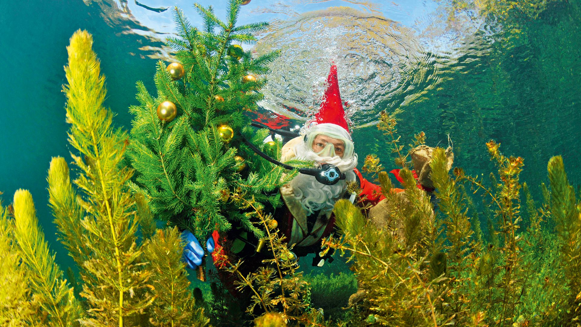 Startschuss für den TAUCHEN-Adventskalender 2016!