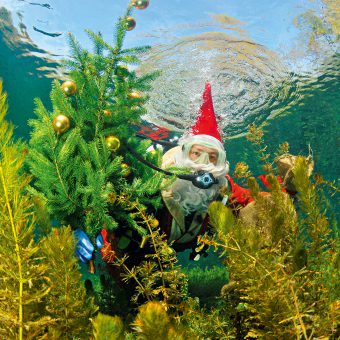 Startschuss für den TAUCHEN-Adventskalender 2016!